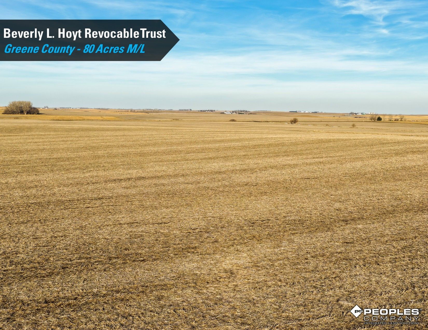 Listing Photo: Hoyt-Trust-Greene-County-Iowa-80Acres-Scranton-18837 (11)